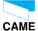Came